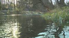 Česko už nyní sužuje pořádné sucho. Takové tu dlouho nebylo, tvrdí odborníci