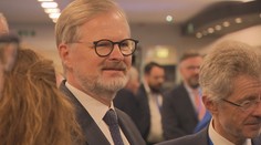 Instagram Petra Fialy se změnil k nepoznání. Počty zhlédnutí rapidně rostou