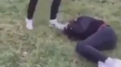 Masakr v ústeckém parku. Dívka kopala druhou do břicha a do hlavy