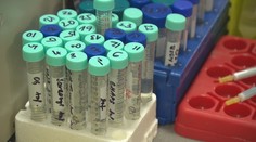 Neustále přibývá falešných stránek s léky. Prodávají předražené padělky