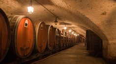 Vínem se léčilo nadýmání i opary. Teď sklepy táhnou turisty