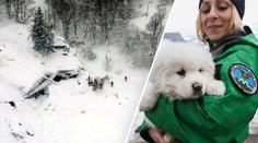 Počet obětí laviny dál roste! Zatím zachránili 11 lidí a štěňátka! VIDEO