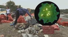 KOŘENÍ: Enzym nazývaný jako žrout plastů