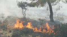 Evropa hledá obranu proti požárům. Odborníci varují před další hrozbou