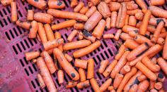 Z Polska k nám vezli zeleninu plnou olova a pesticidů!