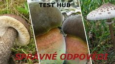 TEST hub - 1. kolo: Správné odpovědi