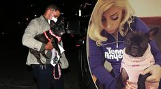 Bylo to o chlup. Přítel Lady Gaga popsal, jak přežil brutální přepadení