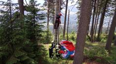 Poryv větru odhodil paraglidistu mezi stromy, zůstal viset vysoko v korunách!