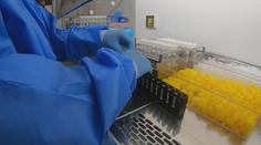 Nová pravidla pro očkované: Někteří budou muset na PCR test