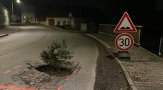 Česká tvořivost: Silničáři nereagují, tak lidé sází do děr stromky a květiny