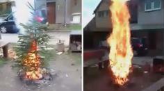 Pozor na nevhodné zacházení s vánočním stromkem, varují hasiči. VIDEO