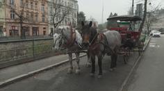 Tradiční jízdy v kočárech čeká změna. Karlovy Vary pro ně mění podmínky