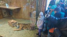 Štědrý den v zoo: Zvířata dostala speciální vánoční pochoutky