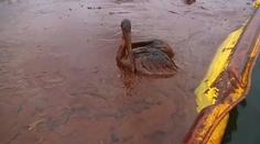Od výbuchu Deepwater Horizon uplynulo už 15 let. Tragédie tehdy otřásla světem