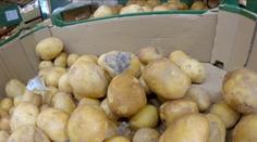 Kontrola supermarketů v Dobrušce byla katastrofa. Reportéra šokoval stav brambor