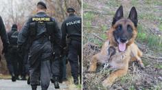 Policisté se zaměřují na chatové oblasti: Pomáhají i služební psi