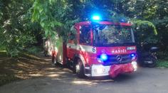 Znečištěný rybník v Praze: Ve vodě byly mrtvé ryby, na místo vyjeli hasiči
