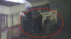 Češi kradou už i vánoční stromky! Policie je hned měla! VIDEO