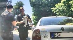 V rozpáleném autě ležel malátný pes. Policie musela při záchraně rozbít okno