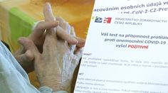 Psycholožka radí ohledně lhaní seniorům v době korony. Může se to? ANKETA