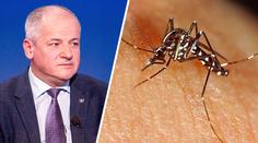 Na Moravě se množí kalamitní komáři. Blíží se něco horšího, varuje Prymula