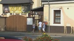 Do ústecké zoo se vrátí ohrožené druhy. Obhájila členství v evropské asociaci