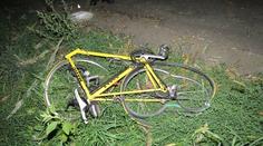 Cyklistům šlo při večerní vyjížďce o život! Zřítil se na ně strom