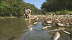 Kyanid v Bečvě bude řešit sněmovna, podle ekologů je řeka mrtvá