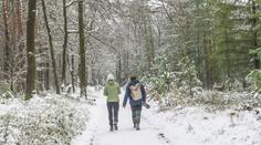 Část Česka čekají dva dny sněžení. Napadnout může několik centimetrů