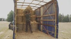 Většinu Česka trápí extrémní sucho. Farmáři se bojí vysokých ztrát
