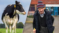 Muž (80) má zákaz vstupu na farmy. Znásilňoval krávy pěstí