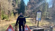 Poláci nelegálně překročili hranice do Česka, v autě projížděli lesem