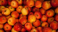 Kontrola znovu odhalila pesticidy v jablkách z Polska! Už počtvrté