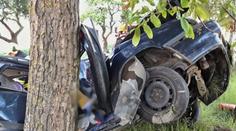 Auto vletělo do stromu, zůstaly z něj trosky. Řidička neměla žádnou šanci