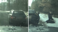 VIDEO: Rutinní kontrola se změnila v divokou honičku. Skončila až na lesní cestě