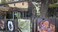 Uprchlá kobra se ve švédské zoo raději po týdnu sama vrátila do terária