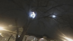 VIDEO: Muž měl strach z povodní. Vylezl na strom a odmítal slézt