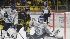 Varaďa při premiéře neuspěl. Vítkovice po prohře s Litvínovem klesly na dno