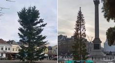 Ještě horší než Bruntál? V Londýně jsou zděšení z děravého stromku
