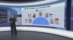 Role členů delegace na summitu NATO nejsou jasné. Pomoci může minulá praxe