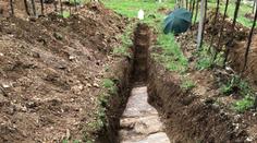 Vinice ukrývala dokonalý objev! Archeologové ho hledali desítky let