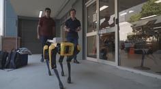 Australští studenti vyvíjejí náhradu za vodicí psy. Nevidomým budou pomáhat roboti