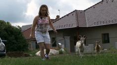 To tu ještě nebylo: Zdenka bude ve Výměně venčit kozenky! VIDEO