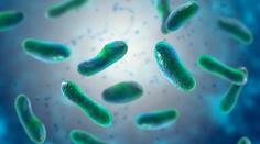 V Německu se šíří vzácná horečka. O nemoci se hovoří jako o biologické zbrani