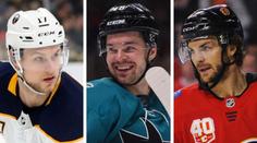 Hronek za Hradec a Hertl v Liberci? V NHL se nabízí malá výluka!