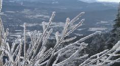 Ráno bylo v Česku obzvlášť mrazivé, meteorologové vyhlížejí nárazový vítr