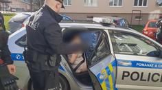 Z vraždy tříleté dívky obvinili policisté matku. Zveřejnili další podrobnosti k případu