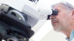 Lék na rakovinu prostaty vzniká v Holešovicích, bude za tři roky