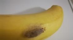 Žena z jižních Čech si domů na banánech přinesla překvapení