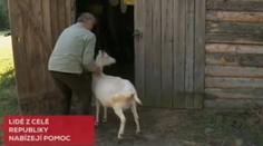 Úřady zbořily chovateli chlívek pro kozy! Peníze mu poslal i sedmiletý Martínek